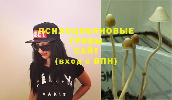 MDMA Premium VHQ Бугульма