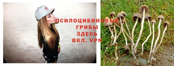 ALPHA-PVP Бородино
