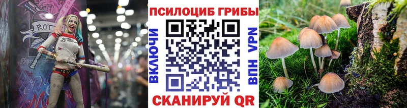 Галлюциногенные грибы прущие грибы  Купить закладки  Костерёво 